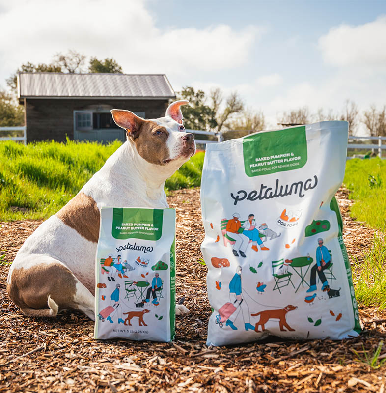 2023年5月，植物基础狗粮公司Petaluma推出了适用于老年犬的首款配方